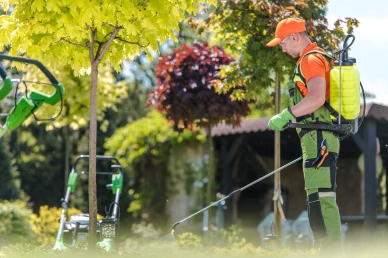 tree-fertilization