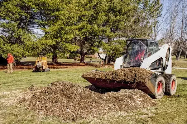 tree-removal