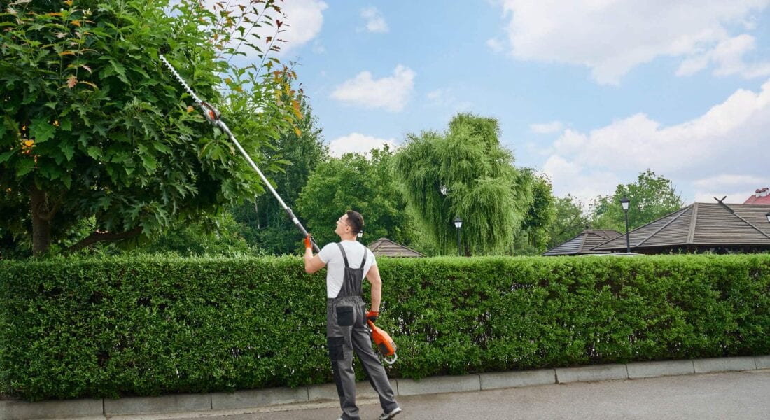 worker-trimming-tree