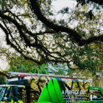 Image Alt Text: Stump grinder removing oak stump on residential property in Metairie, Louisiana