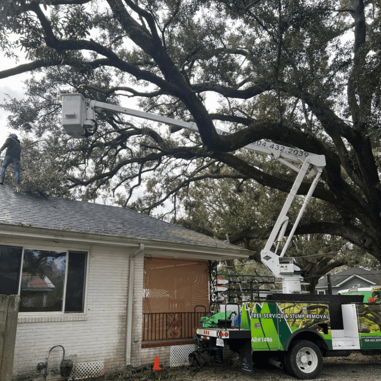 Emergency tree service crew clearing fallen tree from driveway in Metairie LA