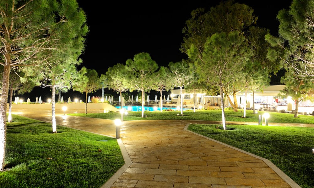 The-trees-in-night-illumination-at-luxury-hotel