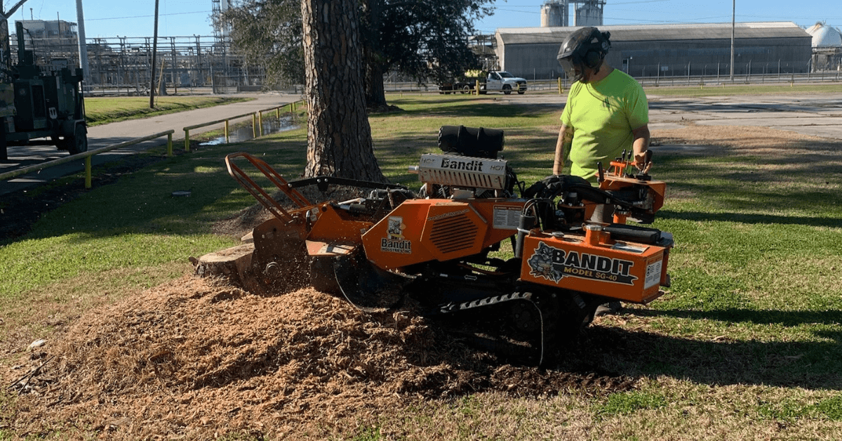 Technician using a stump grinder to remove a tree stump in a New Orleans backyard.