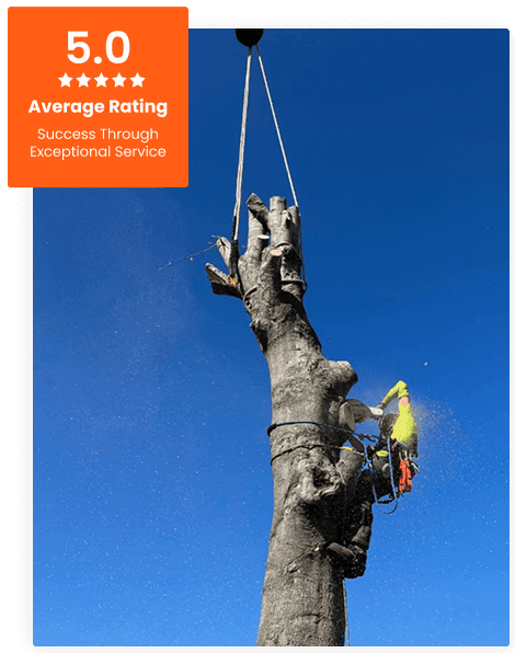 Commercial Tree Service