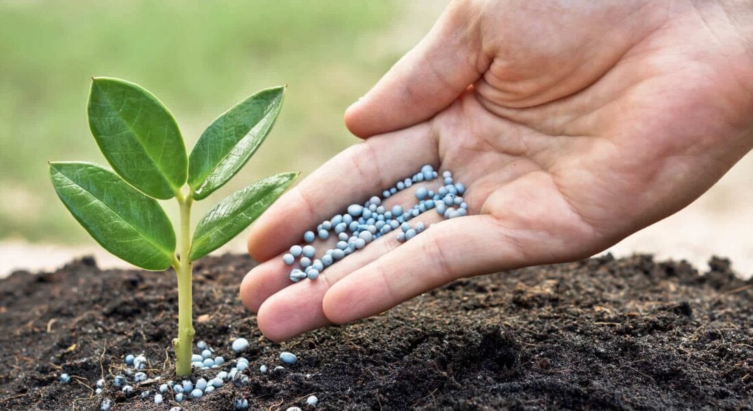 Granular Fertilization