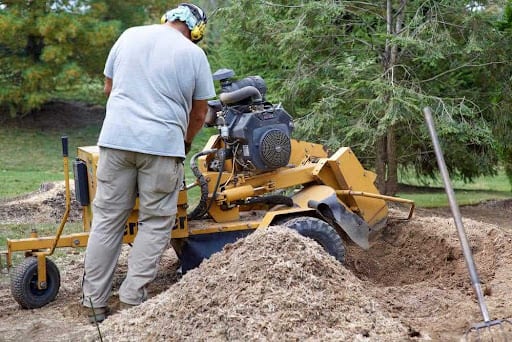 stump grinding and removal