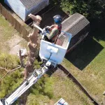 Arborist pruning live oak for hurricane season preparation in Metairie