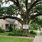 Image Alt Text: Mature live oak in a Metairie neighborhood subject to local tree removal regulations