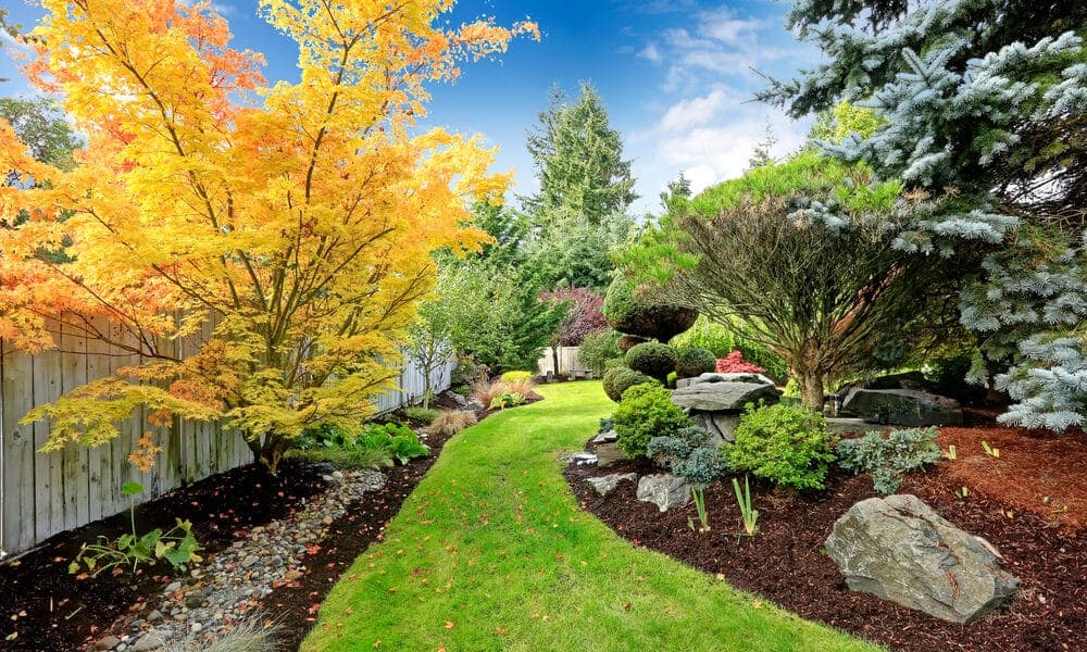 Backyard landscape design. Tropical theme