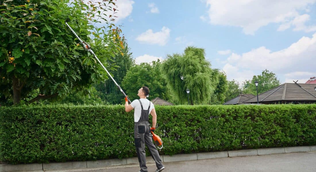 worker trimming tree
