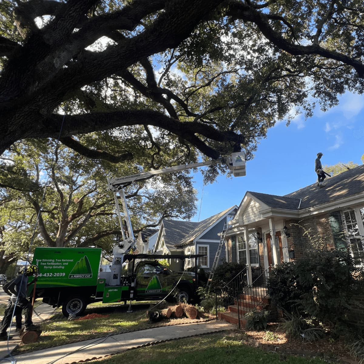 Tree crew performing safe tree removal service in Audubon, LA near residential property.