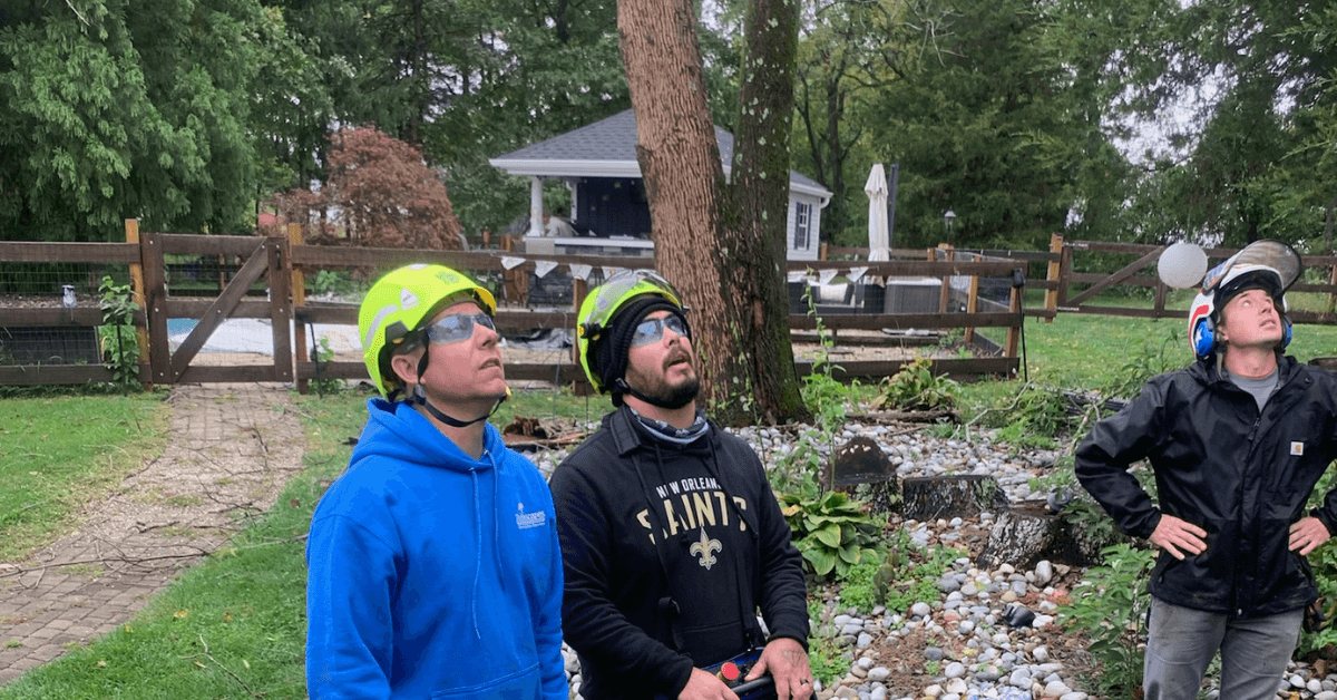 ISA Certified Arborist discussing tree care services with a homeowner in New Orleans