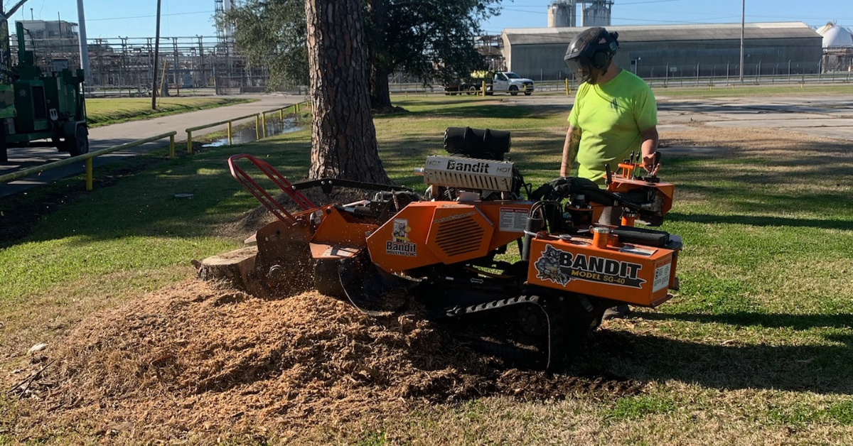 Technician using a stump grinder to remove a tree stump in a New Orleans backyard.