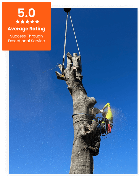 Commercial Tree Service