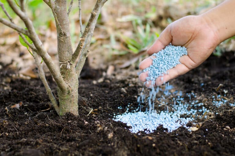 Fertilizing Tips