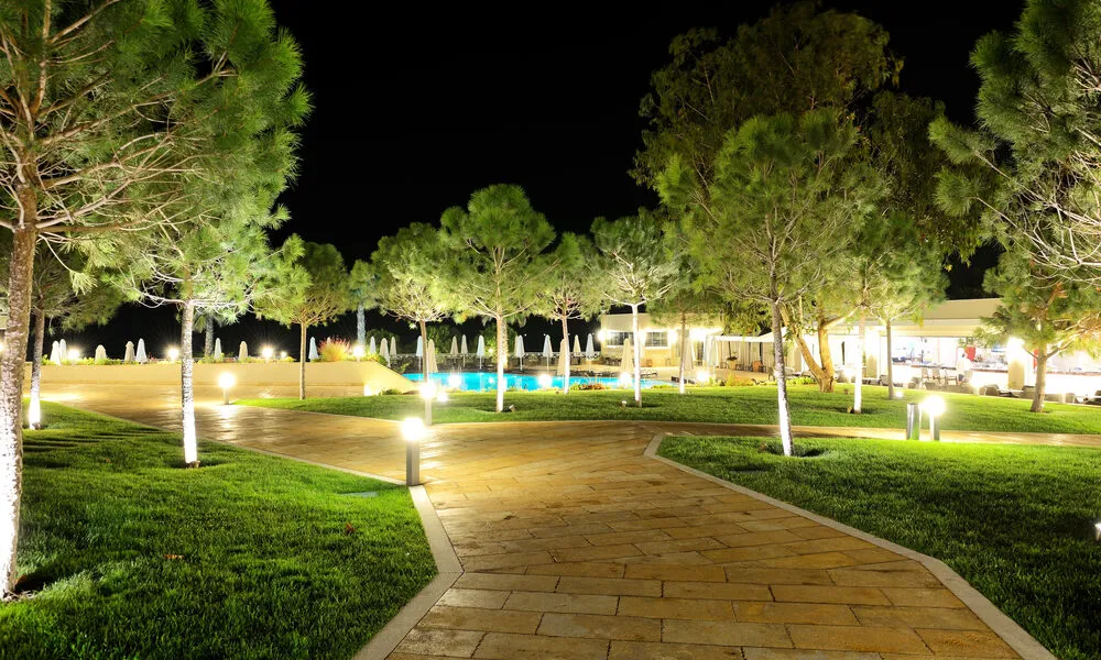 The-trees-in-night-illumination-at-luxury-hotel