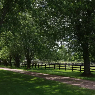 A scenic dirt road surrounded by fields and trees