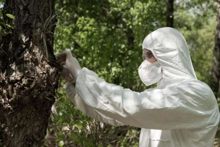 Tree inspection A Perfect Cut Tree