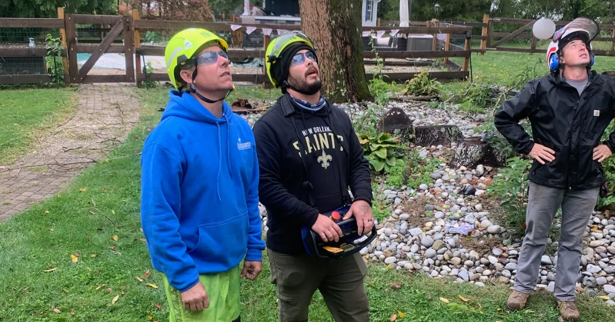 ISA-certified arborist conducting a tree risk assessment in a residential yard in New Orleans.