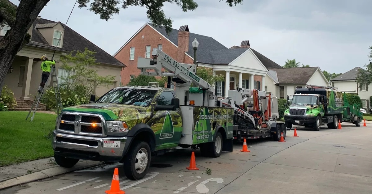Tree Service Company