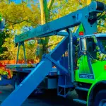 Tree Service Near Me