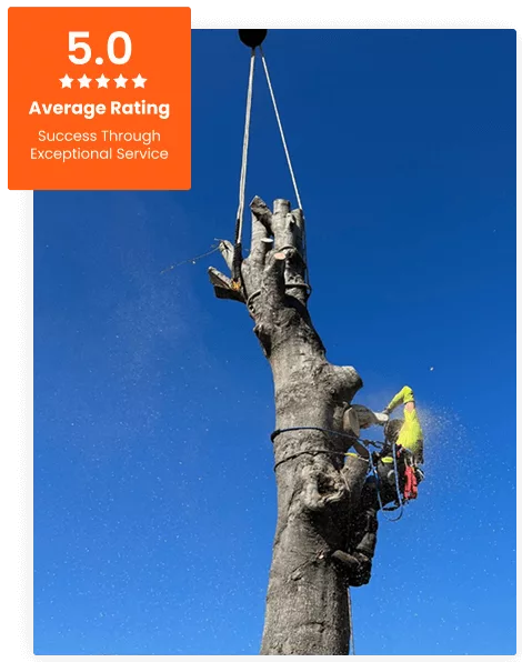 Commercial Tree Service