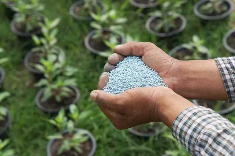Artificial-Fertilizer-on-hand