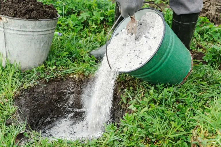 Organic Fertilizer