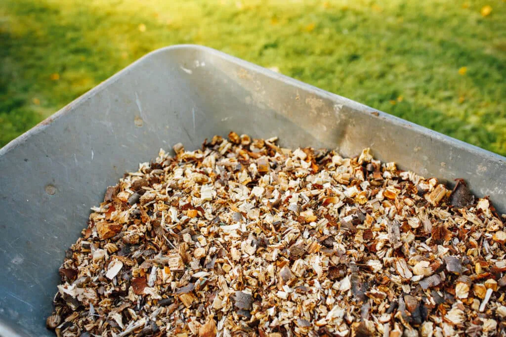 Wheelbarrow-full-of-mulch-for-trees