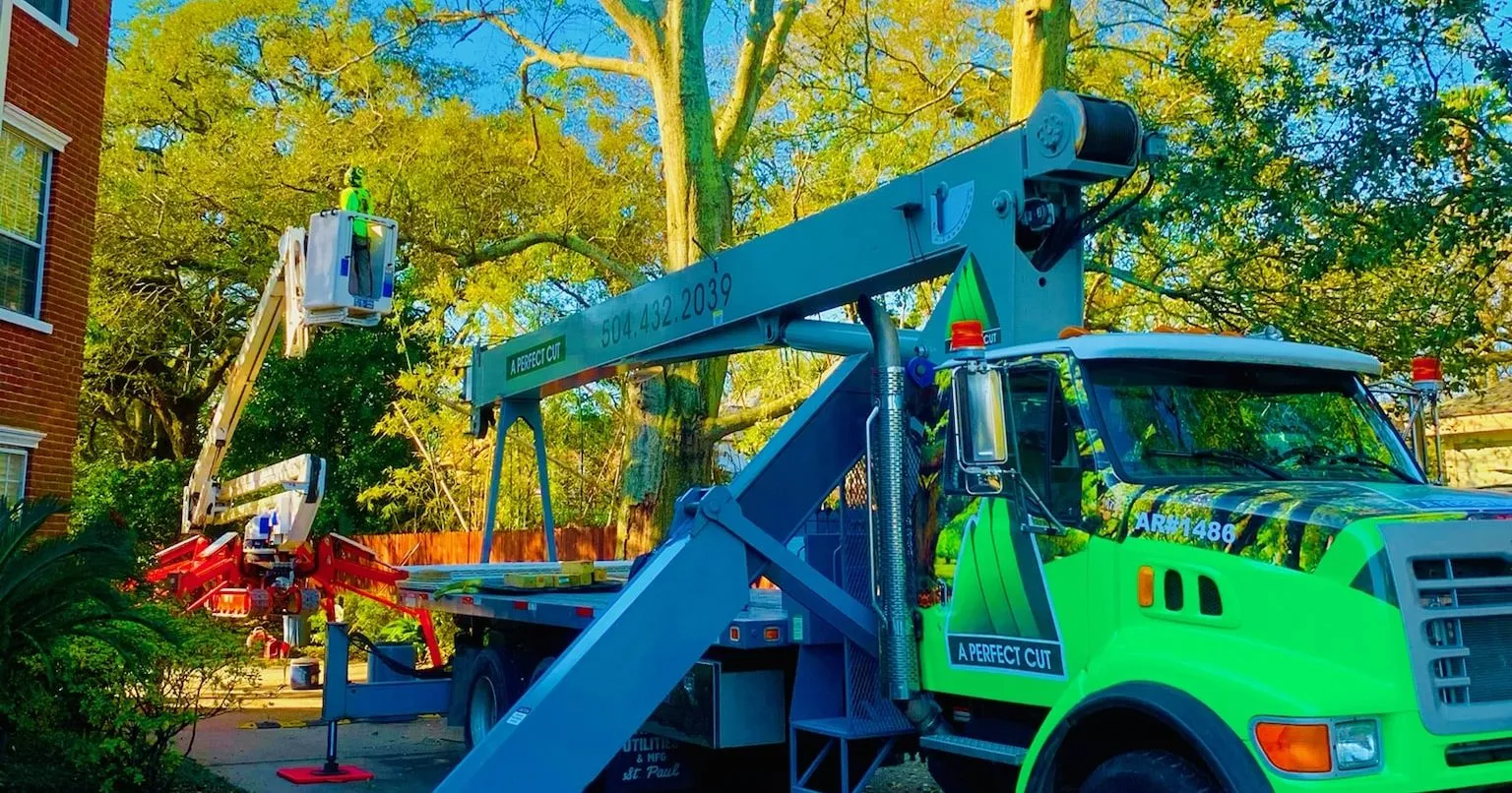 Tree crew pruning a large oak in a Kenner backyard - tree service Kenner