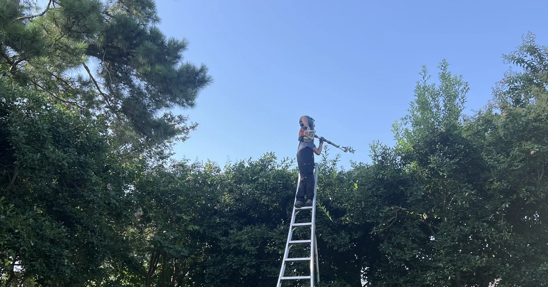 Tree service Destrehan crew using a lift to remove a large oak from the front yard