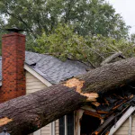 A storm-damaged tree fell on a home in Jefferson Parish, Louisiana