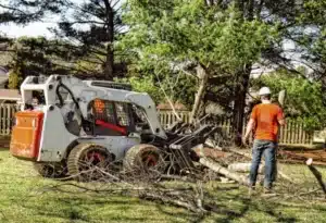 Dozer-helping-in-tree-removal-work