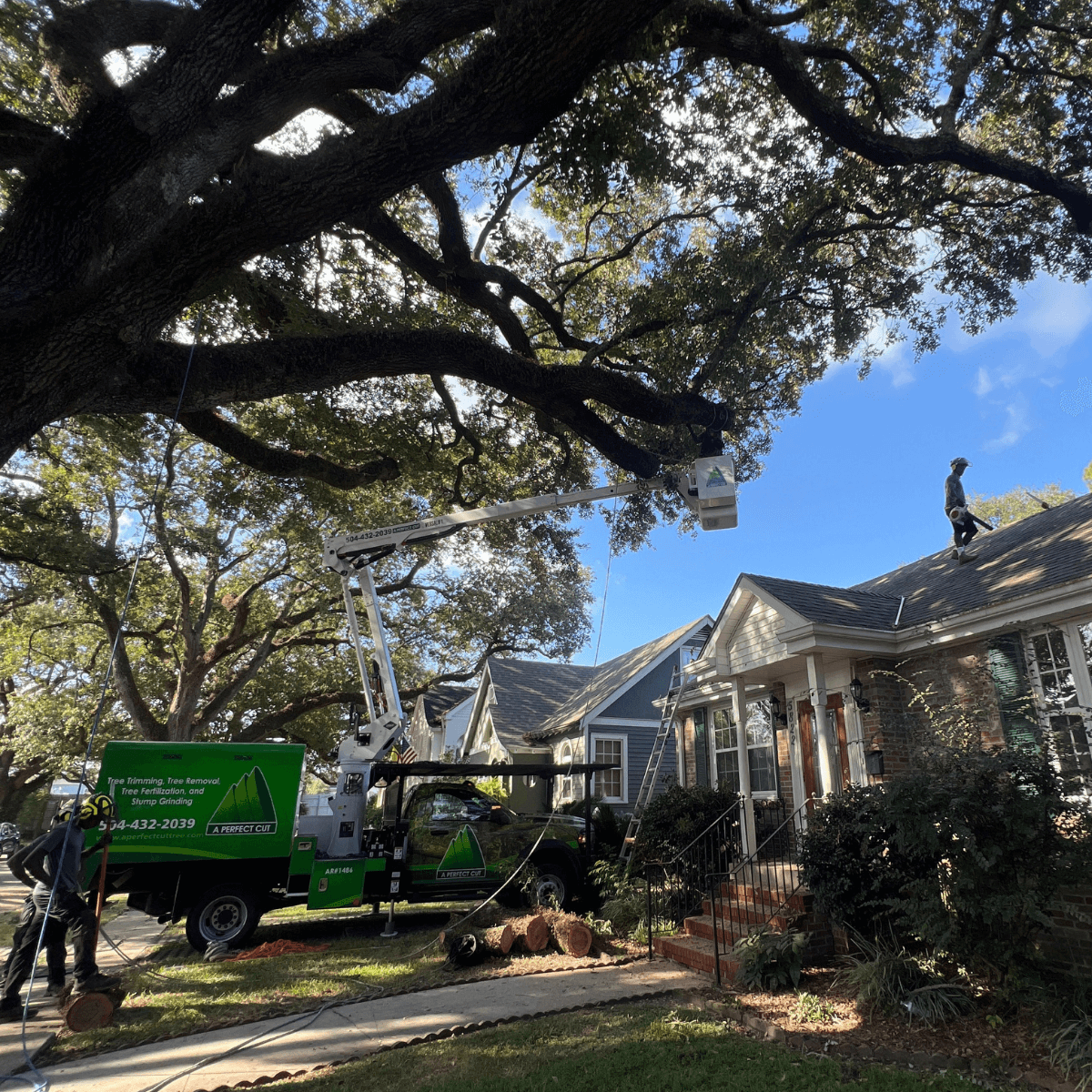 Tree crew performing safe tree removal service in Audubon, LA near residential property.