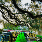 Image Alt Text: Stump grinder removing oak stump on residential property in Metairie, Louisiana